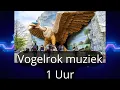 Lagu Vogelrok Muziek 1 uur! (Vernieuwd)