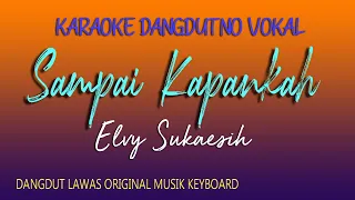 sampai kapankah karaoke elvy sukaesih
