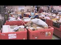 Behind The Scenes with USPS Shipping