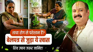 त्वचा रोग से परेशान हैं? बेलपत्र से जुड़ा ये खास शिव उपाय जरूर जानिए! @panditpradeepmishraofficial 