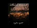 Waylon Wyatt - Arkansas Diamond