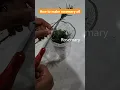 Download Lagu How to make rosemary oil: The quick and easy way! #shorts #rosemary #rosemaryoil