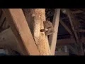 Download Lagu De Aarlese Hoeve, oudste boerderij van Nederland