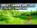 Lawn Companies Hate Me for Sharing This - Lazy Person s Lawn Guide