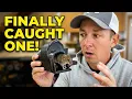 Safest Mouse Trap - Kat Sense Review Link in Description