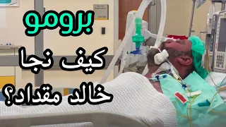  برومو  كيف نجا خالد مقداد    أسرار وخفايا  دندنها