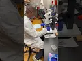 Postdoctoral Research at UTHSC