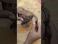 Download Lagu தேங்கா ஓடுல இப்படி கூட செய்யலாமா!🔥 Coconut Shell Reuse Ideas #reuse #coconut
