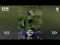 Download Lagu EDM • Dinasty Thailand remix • 2023 | Dj Thái Lan Remix • Nhạc TikTok Hot Gây Nghiện /@chobaan12