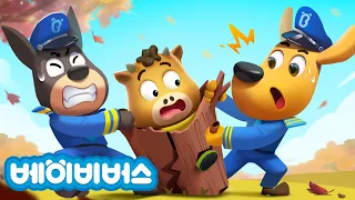 야외 틈새를 조심해요 + 동화 모음 | 40분 연속보기 | 야외안전🌿 | 안전교육 | 경찰동화 | 래브라도 경장 | 베이비버스 | BabyBus