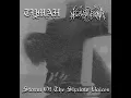 Download Lagu Tymah / Necroplasma - Storm of the Shallow Voices