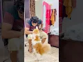 Download Lagu Wait for billu expected twist😁😆😁😆#catvideo #comedy #sajidcat #cat #billucat #catshorts #petlover