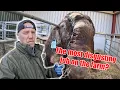 Download Lagu Farmer C Battles With Merlin… Plus Hector Goes On The Attack