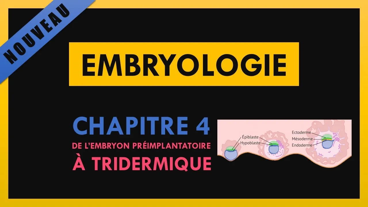 Embryologie - Chapitre 4 - De l’embryon préimplantatoire à tridermique