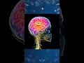 Download Lagu #SLE Lupus #health #youtubeshorts #viral
