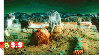 cat woman movie full hd explained in hindi u0026 urdu
