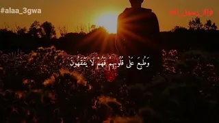 رضوا بأن يكونوا مع الخوالف دندنها