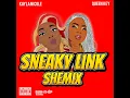 Sneaky Link Shemix