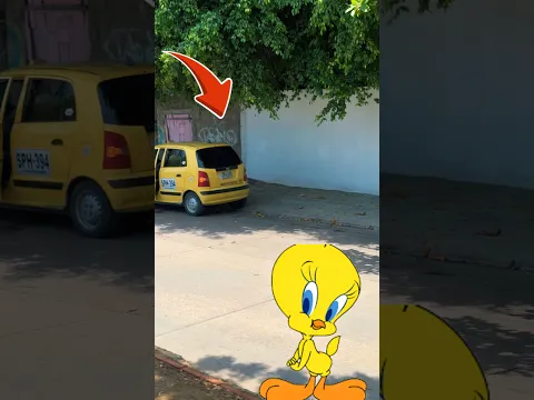 Encontramos a piolin