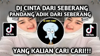dj cinta dari seberang pandang pandang adik dari seberang viral tiktok terbaru 2025