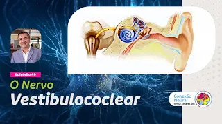 O NERVO VESTIBULOCOCLEAR I EP.: 49