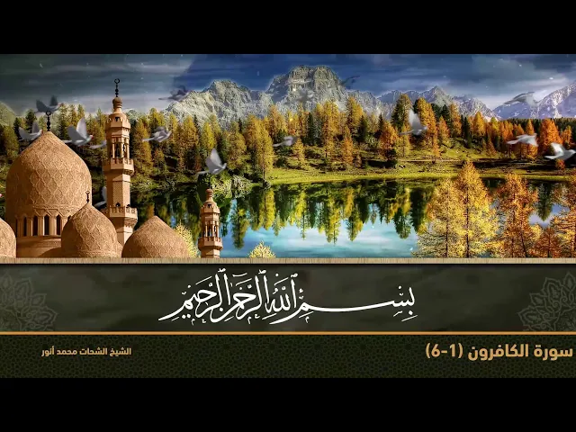 ايةٌ وهداية