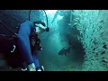 Galimatias — “Ocean Floor Kisses” [Extended] (1 Hr.)