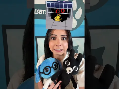 Animal  Hospital Plushies For Subscribers #animalhospital