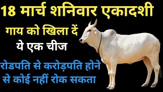 18 मार्च शनिवार बड़ी एकादशी चुपचाप गाय को खिला दे यह चीज रोडपति से करोड़पति होने से कोई नहीं रोक सकता