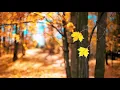 The Holly & The Ivy (Loreena McKennitt).