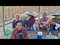 Lagu Sangat Langka‼️Panas Terik Berteduh Di Gubuk Alakadarnya,Suasana Kebersamaan Petani Jagung Suku Jawa
