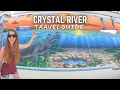 Crystal River FL TRAVEL GUIDE Exploring the Nature Coast Ep 4