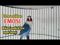 Download Lagu Suara lovebird ngekek panjang pintar memancing bunyi, labet malas bunyi langsung nyaut bunyi
