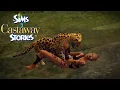 The Sims Castaway Stories (Longplay, No Commentary) - Shipwrecked \u0026 Single