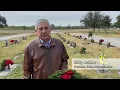 Veterans Graves Honored by Laying Wreaths The 830 Times