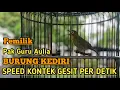 Download Lagu PANCINGAN JITU CIAK CIAK JOSS GACOR KECIAL KUNING ‼️MASTERAN KECIAL KUNING SPEED PER DETIK