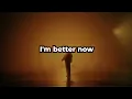 I'm Better Now - Velvet Collapse (Official Lyric Visualizer)