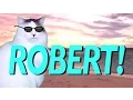 HAPPY BIRT AY ROBERT - EPIC CAT Happy Birt ay Song