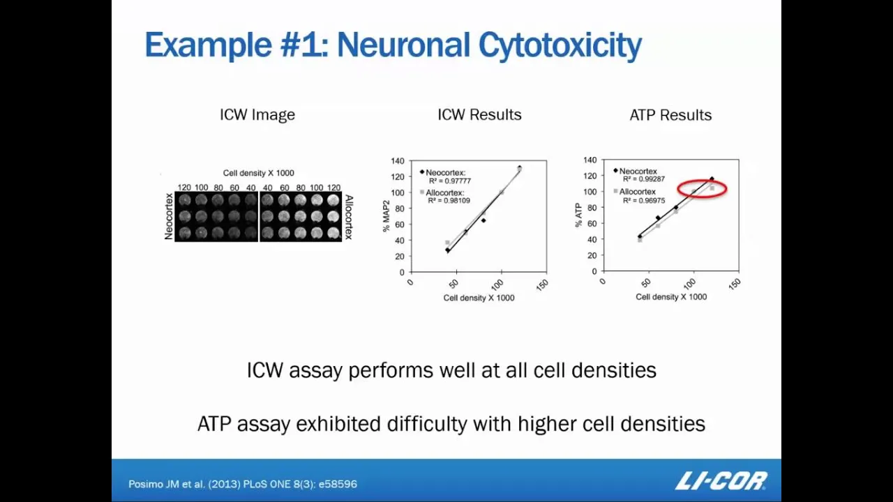 Rethinking Research - How to Use the In-Cell Western Assay