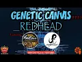 GENETIC CANVAS - REDHEAD Ball Python Mutation Ft Reptile Kreations JP Reptiles Canada