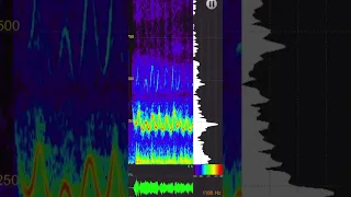 SpectraMania Spectrum Analyzer App Analyze Sounds Visualize App for iOS iPhone iPad