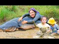 Download Lagu How to Catch Giant Catfish on Summer Day to Sell at Market - Cook Nutritious Porridge for Two Kids