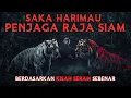 Lagu KISAH SERAM | PERJANJIAN SAKA HARIMAU SIAM | WARIS TERAKHIR PERLU KORBAN NYAWA‼️