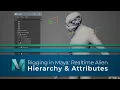 Part 08 Hierarchy Attributes