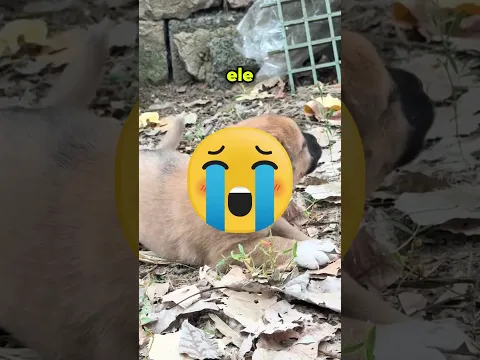 Este Bolo de Aniversário Tinha um Segredo Estranho… 😮