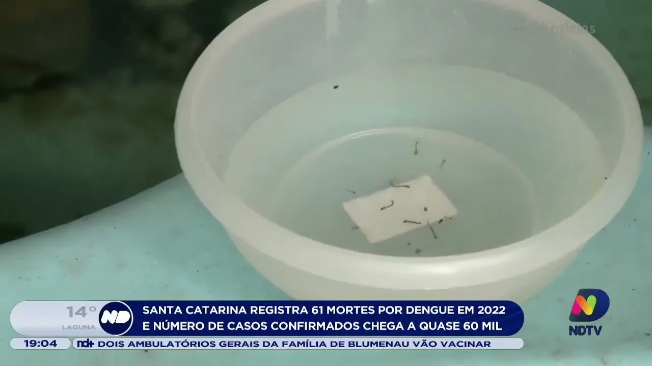 Santa Catarina registra 61 mortes por dengue em 2022