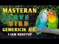 Download Lagu Masteran Suara Burung Love Bird Lb durasi Panjang dengan gemericik air Untuk Terapi dan Pancingan
