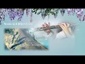 Netflix's Bridgerton | Main Title Theme (Opening Credits) - Flute Cover & Notes