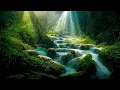 Download Lagu Seruling Asli Amerika dengan Suasana Air Terjun dan Burung selama 1 Jam || Bersantai dengan Howling Steppes 🎵🌄