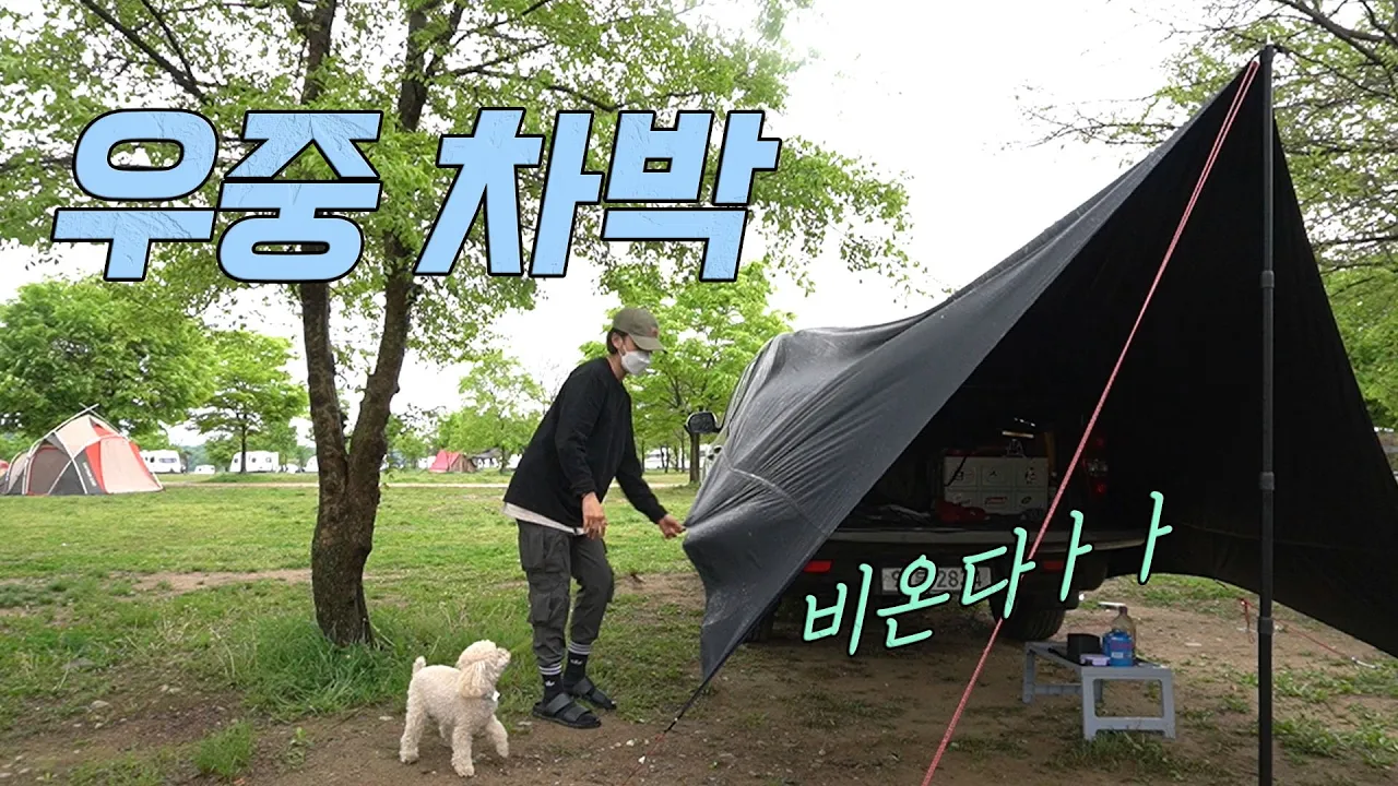 [차박 캠핑]강아지랑 둘이서 우중차박ㅣ강풍주의보 우중캠핑ㅣ목계솔밭ㅣ렉스턴스포츠 차박 サムネイル